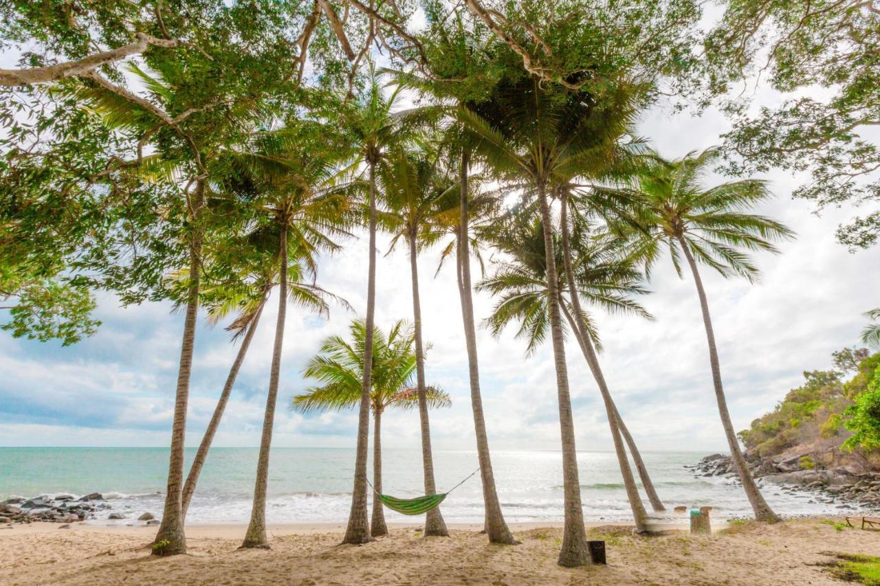 Turtle Cove Beach Resort - Adults Only Lgbtqia & Allies Wangetti المظهر الخارجي الصورة